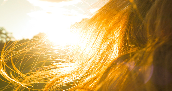 CLOSE UP, LENS FLARE: Gentle summer wind lifting young woman's long wavy hair. Back view of a beautiful brunette, illuminated with amazing golden sunlight, looking towards the setting summer sun.