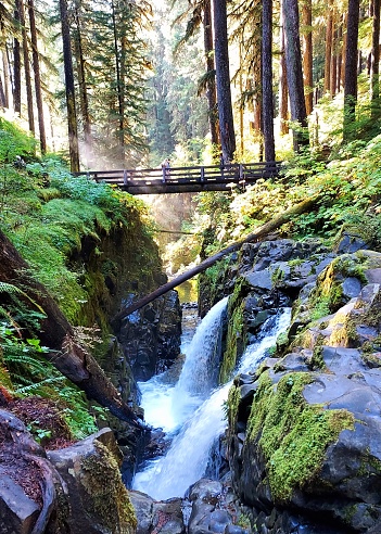 Sol Duc falls are among the most stunning in the Pacific Northwest