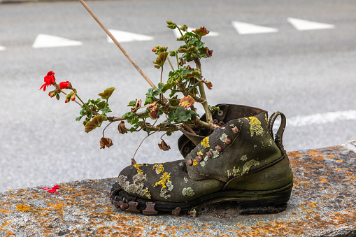 Leather boot flower pot outdoors, Switzerland