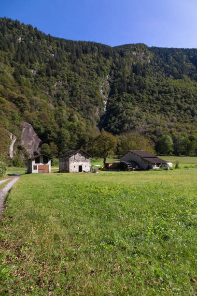 istock Farm in the Swiss Alps 1887966621