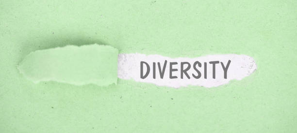 istock Diversity, torn paper, inclusion, equity and human rights, fairness and respect, no discrimination and racism 1888015090
