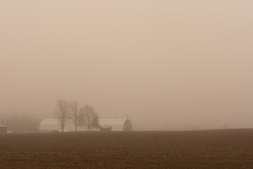 in a farm by a foggy day