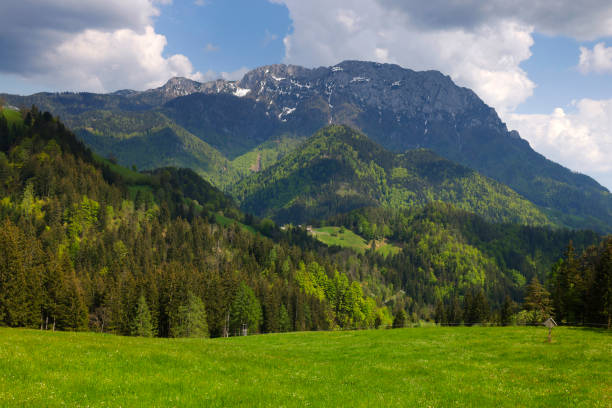 istock Majestic spring alpine scenery near Logar valley 1888079064