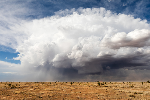 A billowing thunderstorm cumulonimbus cloud with a wall cloud and blowing dust over a field in New Mexico.