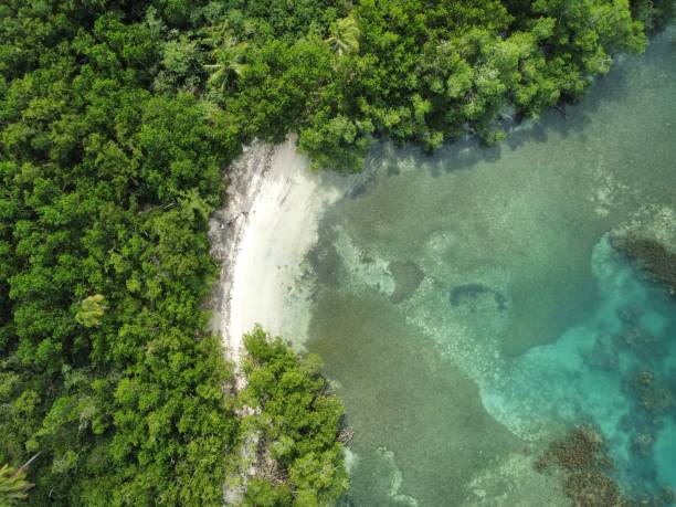 istock Playa en Cabo Rojo, Puerto Rico 1888141347