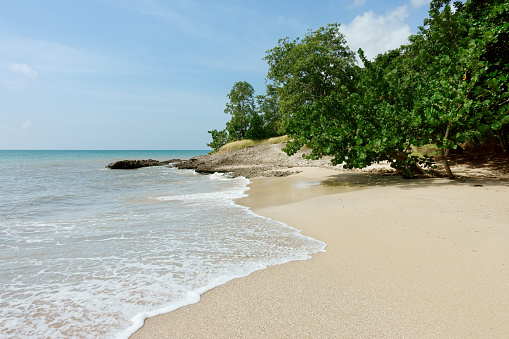 Natural beach and trees, Sentier du  Littoral hiking trail, Martinique