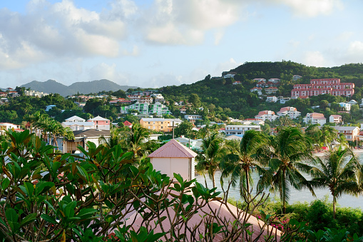Coastline full of boats with lots of living houses on the hill, Kingstown, Saint Vincent and the Grenadines