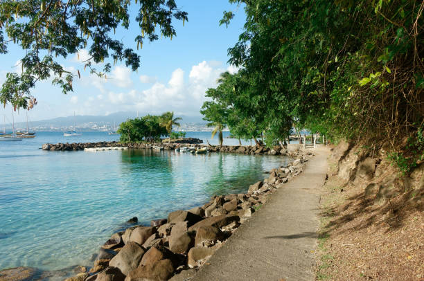 istock Beach of Pointe du Bout, Martinique 1888158722
