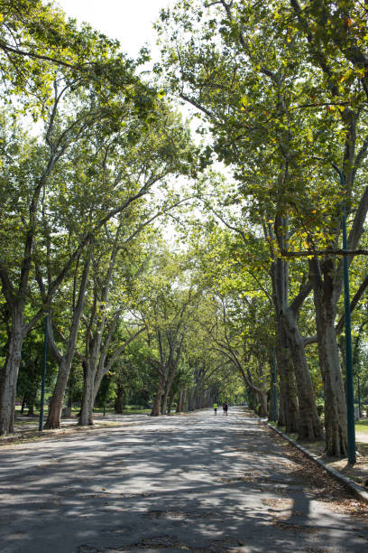 istock Nature Budapest City Park 1888161777