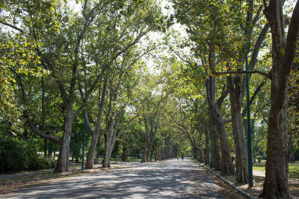 istock Nature Budapest City Park 1888163808