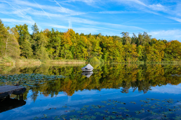 Boat on the pond in autumn - Sempach, Switzerland