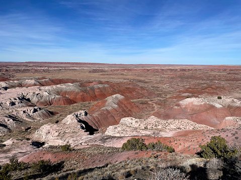Desertscape at Petrified Forest National Park