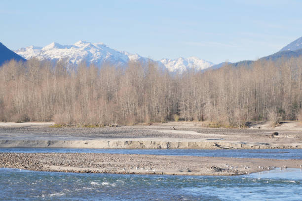 istock Squamish River during a fall season at the Eagle Run vista point in Brackendale 1888250626