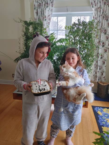 niña de 8 años y niño de 11 años con pastel de cumpleaños para gato de 1 año - celebration 10 11 years birthday cake cake fotografías e imágenes de stock