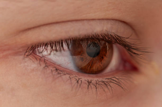 istock Man brown eyes ,eye eye, gaze 1888299842