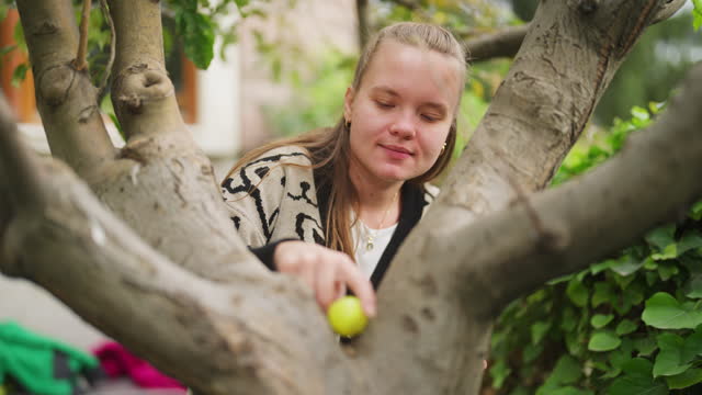 Young woman hiding Easter eggs on Easter egg hunt game in back yard garden