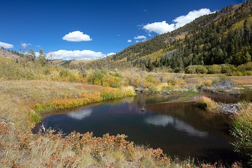 Small pond in the Sangre De Cristo Range of the Rocky Mountains on the Medano Pass primitive road in Colorado United States