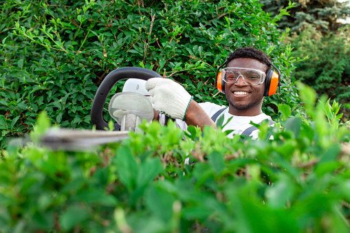 garden worker in uniform cuts bushes, african american man in goggles and headphones works in the garden with garden electric tool, pruning trees and bushes