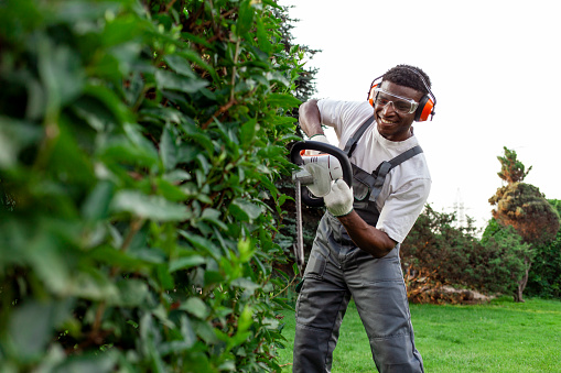 garden worker in uniform cuts bushes, african american man in goggles and headphones works in the garden with garden electric tool, pruning trees and bushes