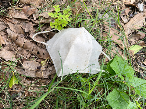 white mask on the grass in the forest. environmental pollution
