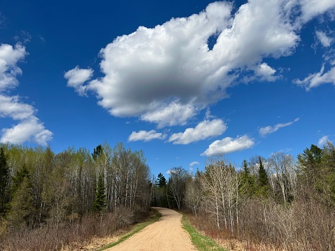 Dirt road surrounded by thick forest and lots of blue skies and clouds in Northern Wisconsin. Photograph taken on a government held ATV and UTV trail in the small village of Pembine, Wisconsin. Idyllic view on a sunny day.