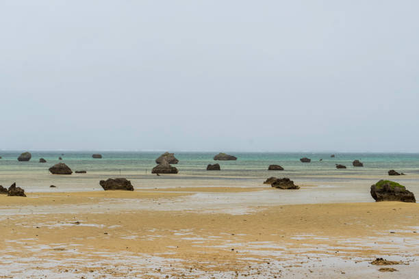 istock Sawada beach with many large rocks lying on the ground 1888570015