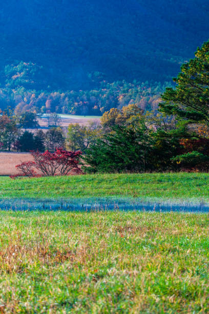 istock Autumn in Cades Cove 1888577252