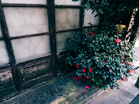 Japanese traditional houses