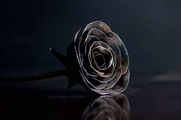 istock metal rose on a table, with black background 1888729369