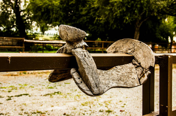 The skeleton of the madara-carved horse saddle is on the edge of a training fence in a vineyard in Queretaro.