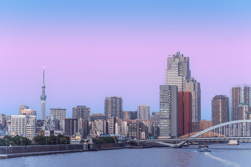This image captures the Tsukiji-Ohashi Bridge in Tokyo, Japan, at the magical hour of twilight. A water bus cruises gently beneath the bridge, while the iconic Tokyo Skytree looms in the background, piercing the lavender sky of the early evening. The city's skyline is a mosaic of lights beginning to twinkle as day turns to night. The Skytree stands as a testament to Tokyo's modern achievements, while the water bus and the bridge connect the city's present with its historical roots. The pastel sky creates a soft canopy over the bustling metropolis, reflecting the city's vibrant yet tranquil side.