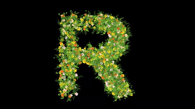 English alphabet R with grass and colorful flowers on plain black background