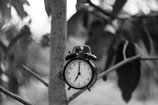 Pocket watch among autumn leaves