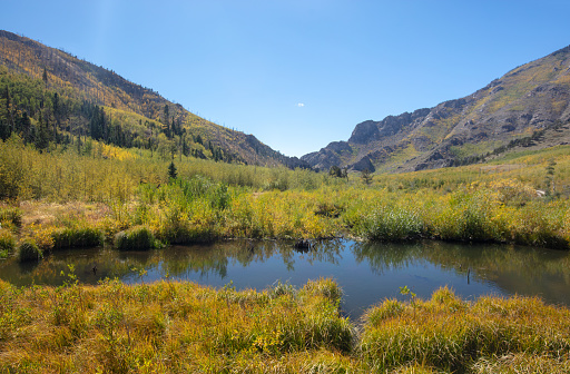Medano creek beaver pond in the Sangre De Cristo Range of the Rocky Mountains on the Medano Pass primitive road in Colorado United States