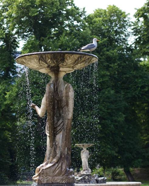 istock Seagull Posing on Artistic Water Fountain 1888848857