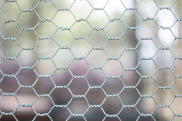 istock round wire fence and blurred background 1888854685
