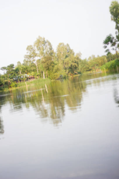 A pond with many trees and blurred background
