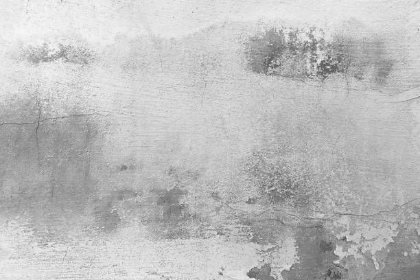 istock Dirty old gray distresses concrete wall texture background. 1888858417