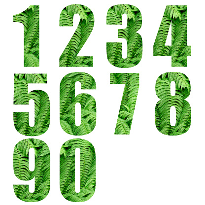 Close-up of green leaf numbers from 0 to 9 on white background.
