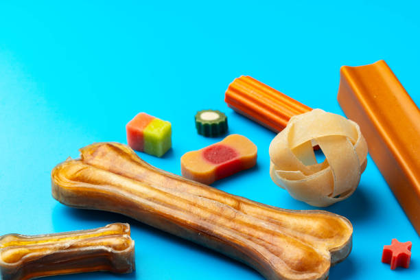 istock Pet snacks for dogs on blue background 1888884207