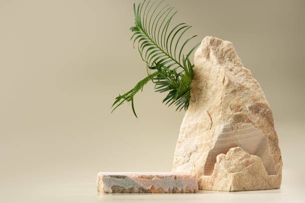 istock Granite stone with branch green leaf on beige background 1888920525