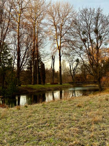 istock Morning in Dendrologischer Park Oleksandrija 1888961214