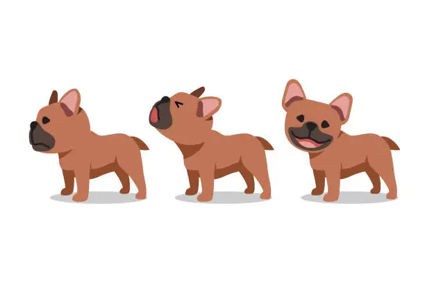 Vector illustration of Set of vector cartoon character brown french bulldog