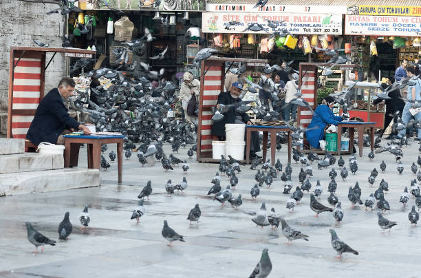 05/02/2008 - Istanbul, Turkey: Locals and pigeons mingle in the dynamic atmosphere of an Istanbul square.