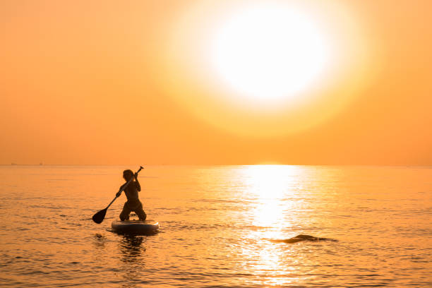 istock Girl wearing sun glasses and white bikini poses sitting on a sup board and oar using paddle 1889158577