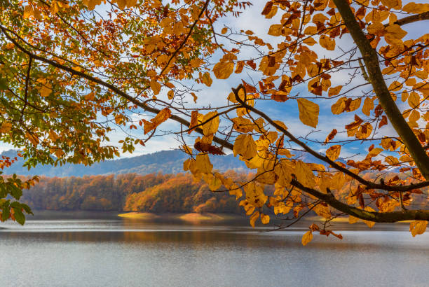 istock Khanbulan reservoir in December. Azerbaijan 1889159232