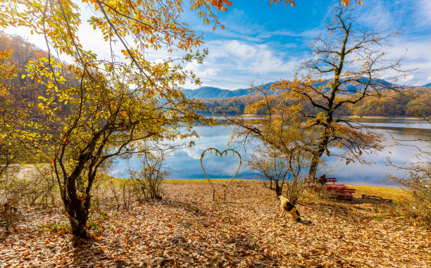 istock Khanbulan reservoir in December. Azerbaijan 1889159737