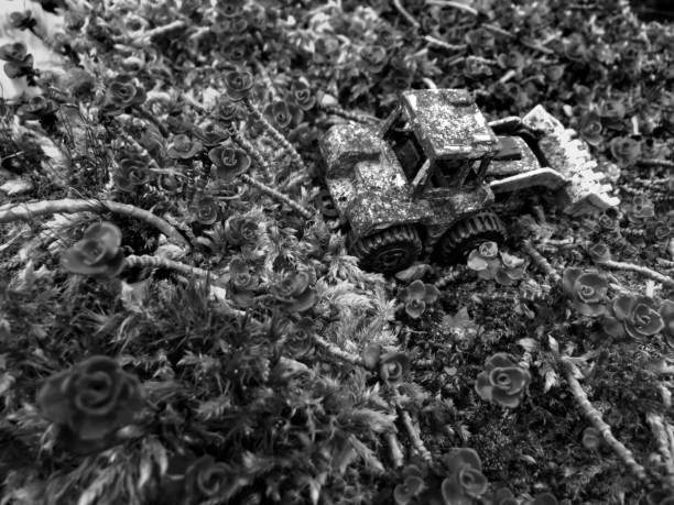 A closeup black and white photograph taken from above an antique and heavily used and deteriorated miniature toy bulldozer standing in a plant garden
