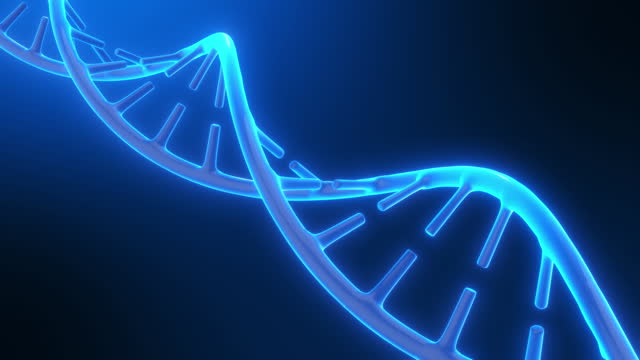 DNA deoxyribonucleic acid 3d render helix. Genetic modeling technology concept on dark blue background.