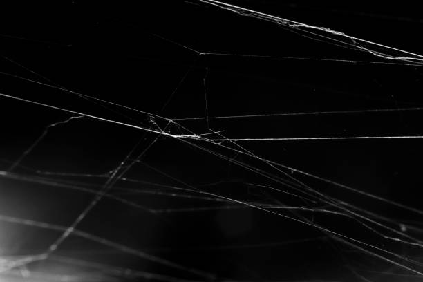 istock Close up of spiderweb on black background 1889240192